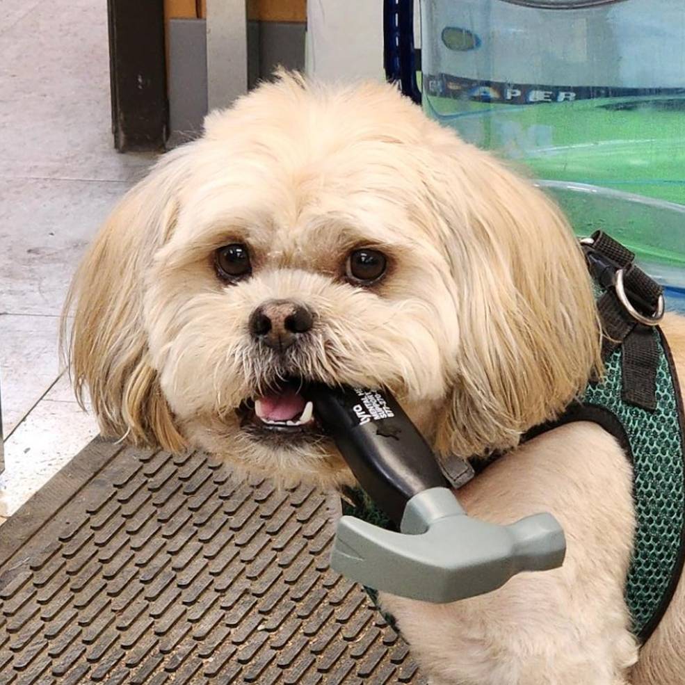 Milo